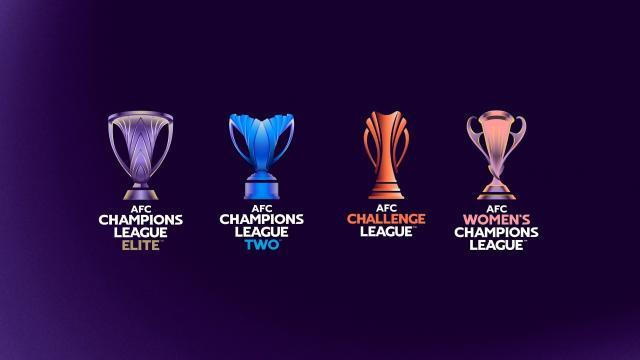 1716137010722006894.jpg 星空体育APP-亚足联大会暗流涌动 萨尔曼或连任西亚势力巩固